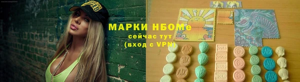 ешки Новодвинск
