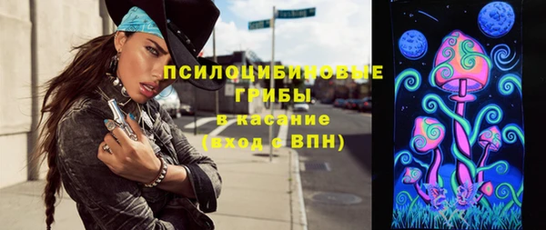ешки Новодвинск